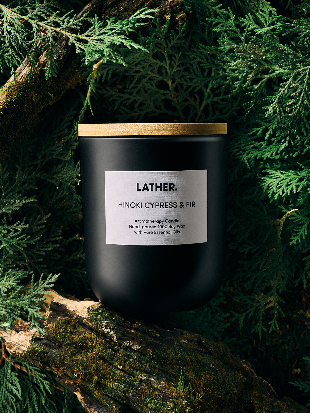 Overhead view of a black Hinoki Cypress & Fir candle with a gold lid resting in a bed of cypress branches.