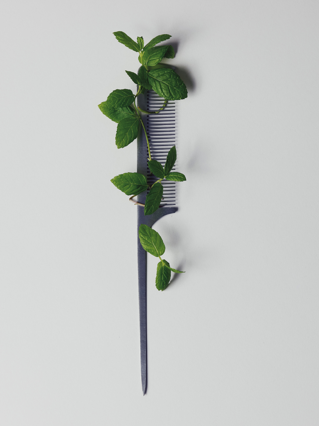 A sprig of fresh mint threaded through a metal hair comb against a plain background.