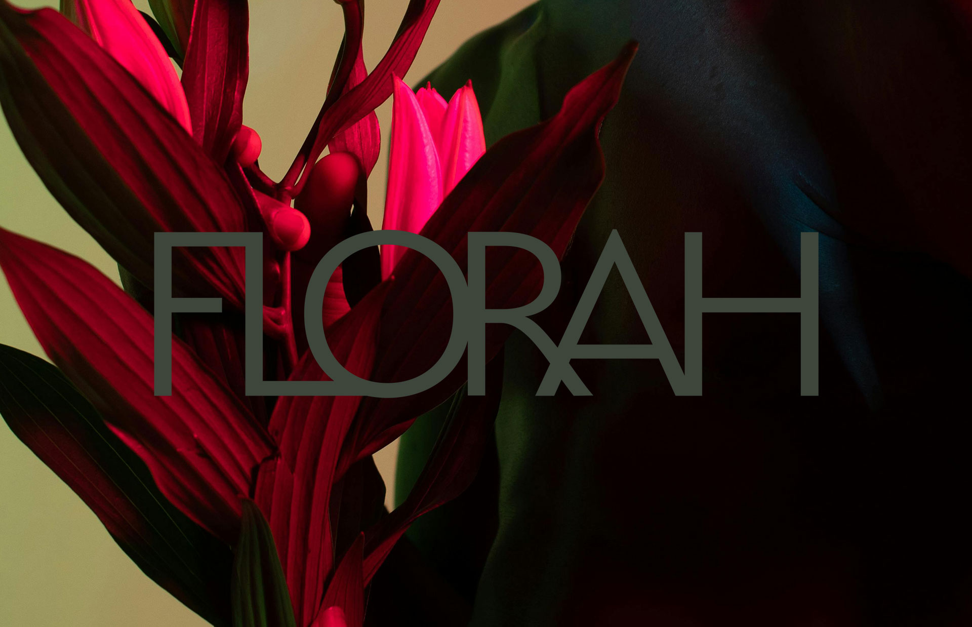 Florah wordmark in a tall, geometric sans serif, overlaid on a close-up photo of deep red tropical leaves and pink lily petals.